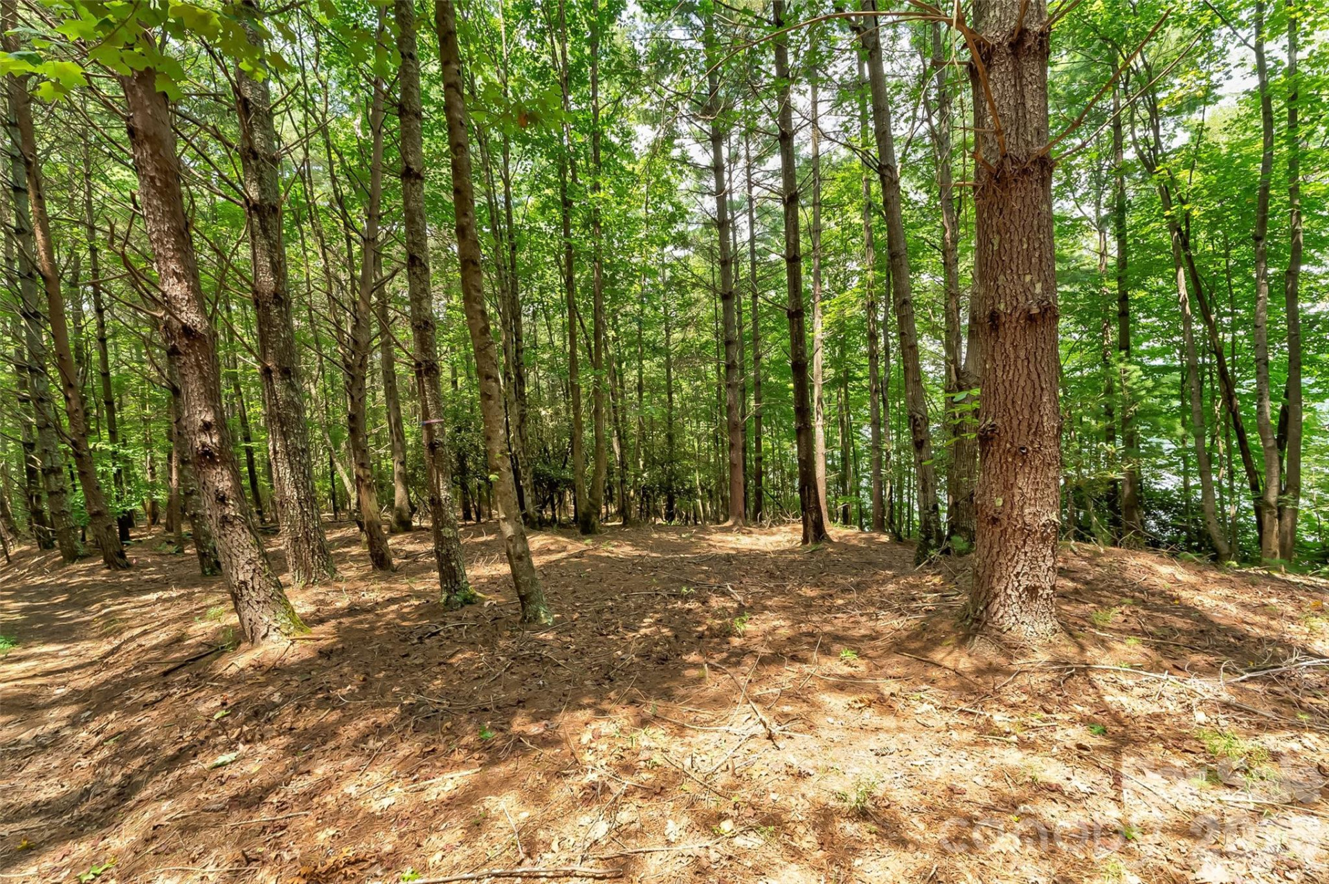 159 Deer Berry Drive #62 - Photo 25