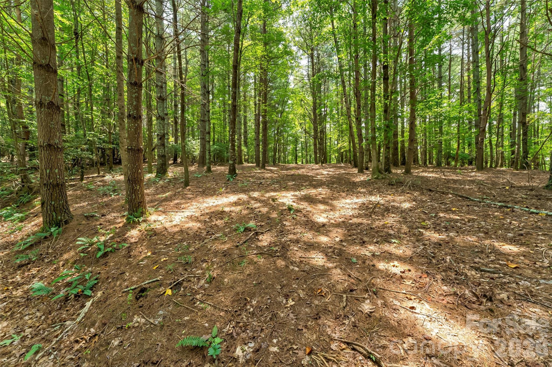 159 Deer Berry Drive #62 - Photo 26