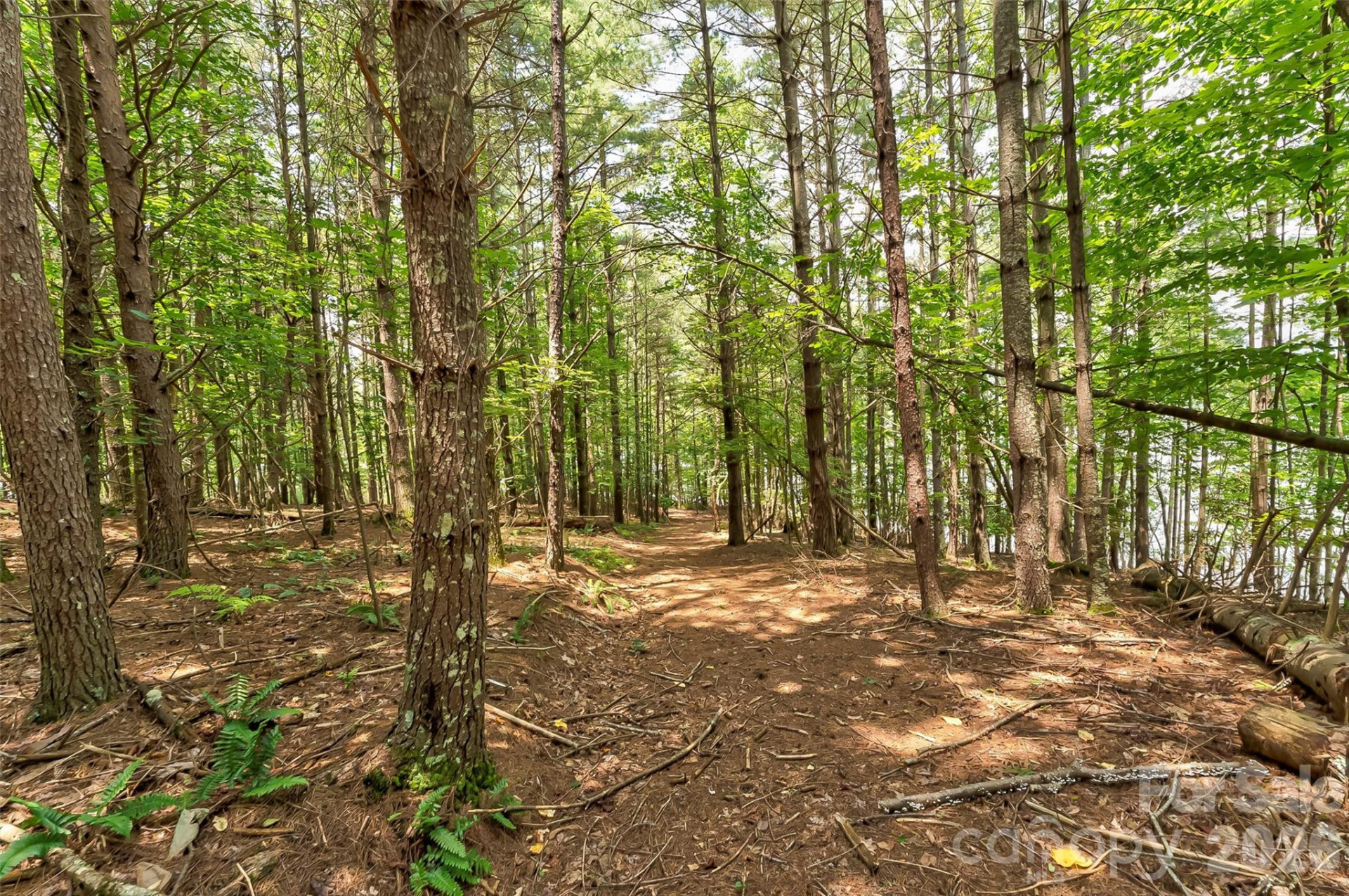 159 Deer Berry Drive #62 - Photo 27