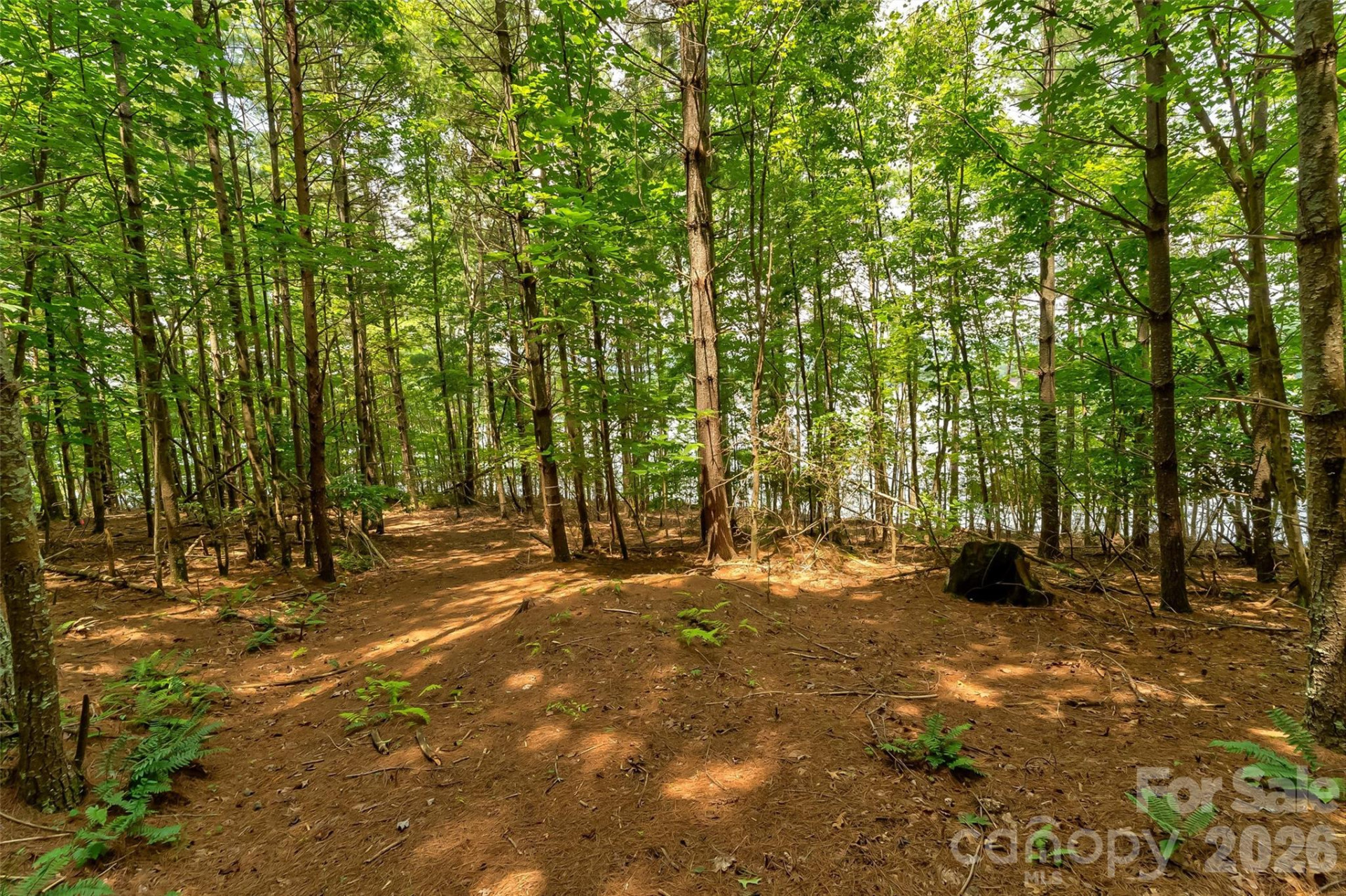 159 Deer Berry Drive #62 - Photo 28