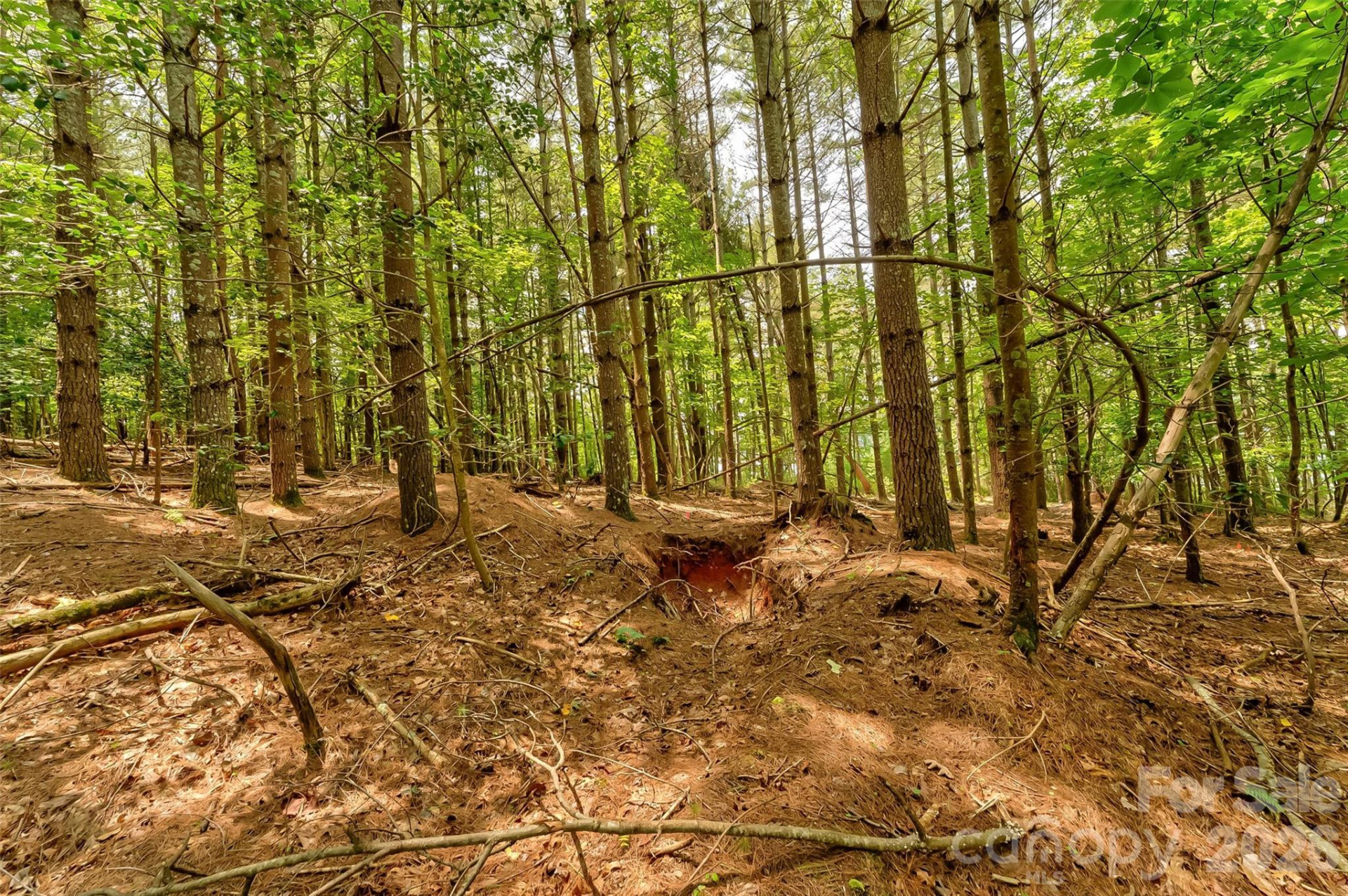 159 Deer Berry Drive #62 - Photo 29