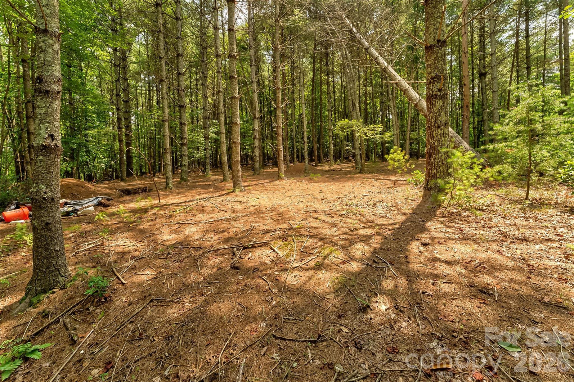 159 Deer Berry Drive #62 - Photo 30