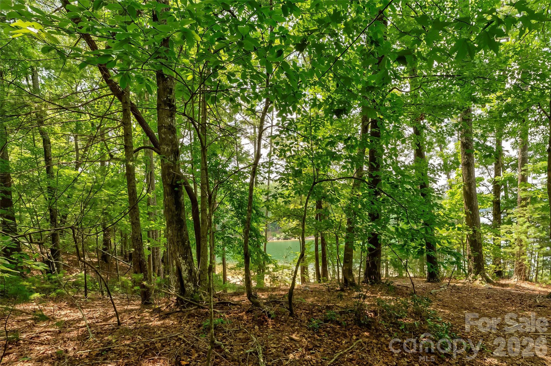 159 Deer Berry Drive #62 - Photo 31