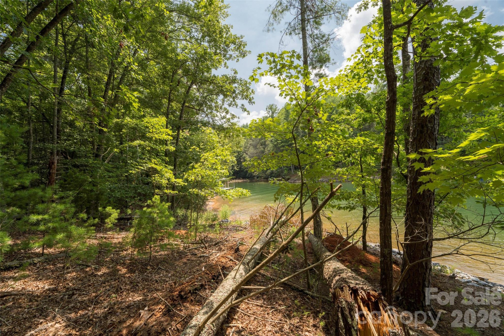 159 Deer Berry Drive #62 - Photo 32