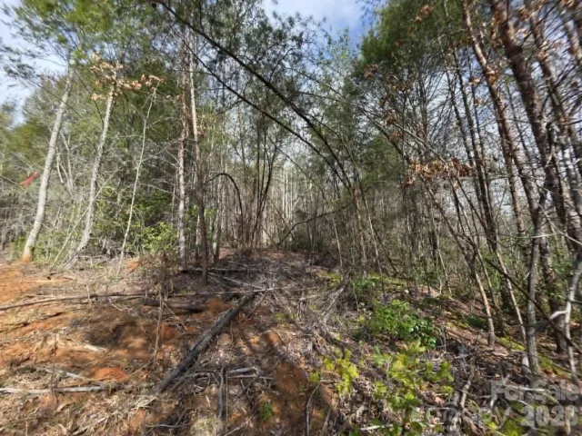 Lot 7 Kerlee Lane, Old Fort, NC, 28762