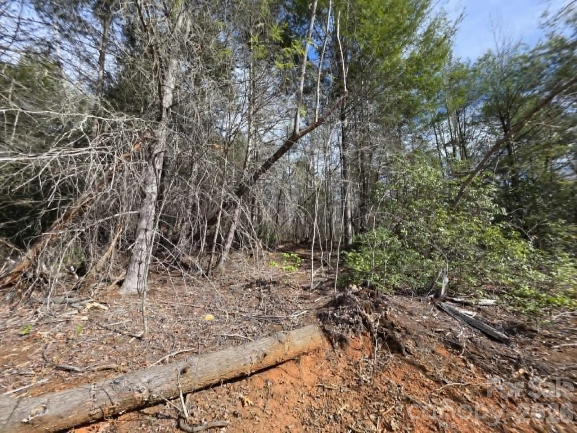Lot 7 Kerlee Lane - Photo 2