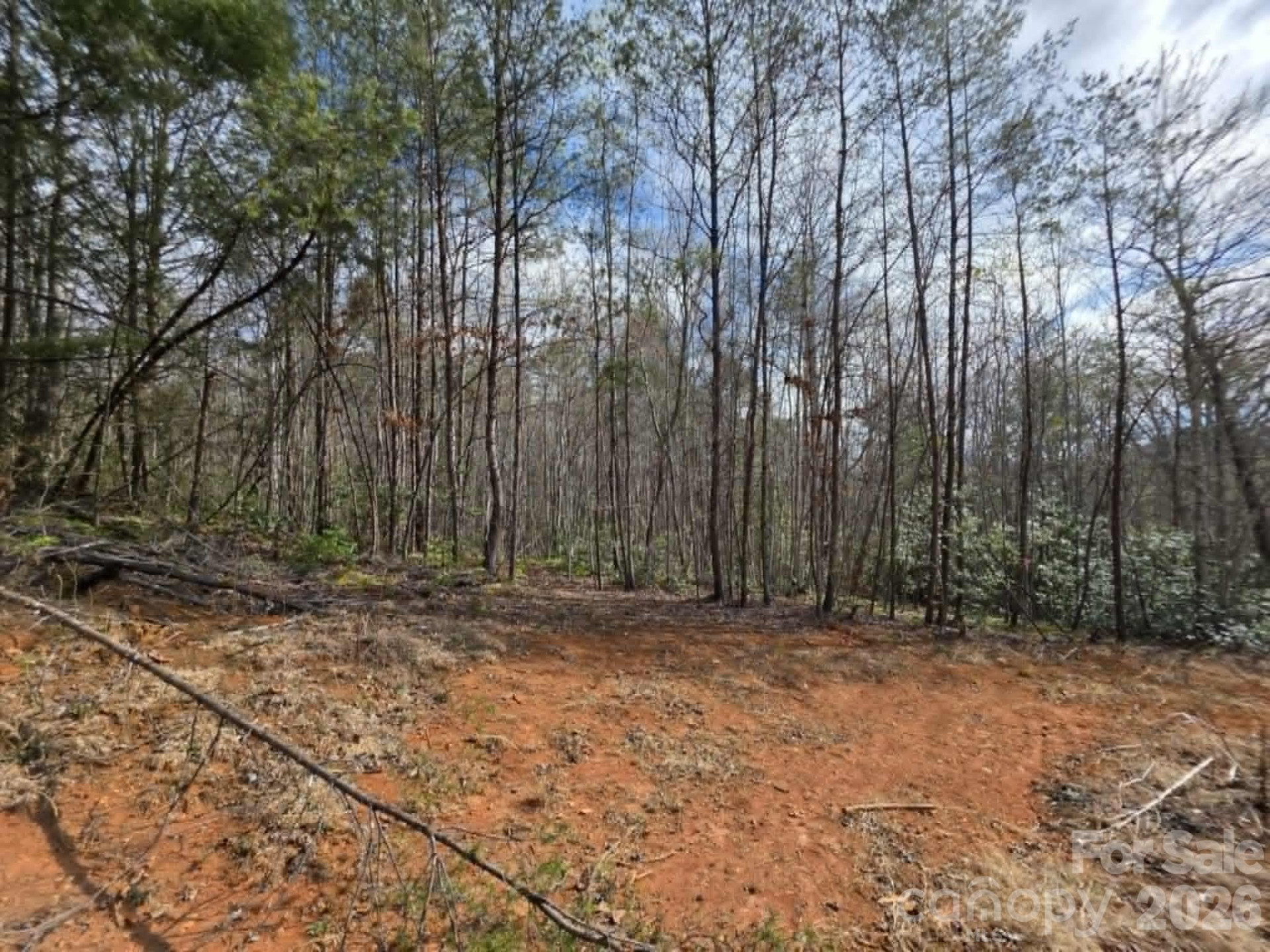 Lot 7 Kerlee Lane - Photo 4