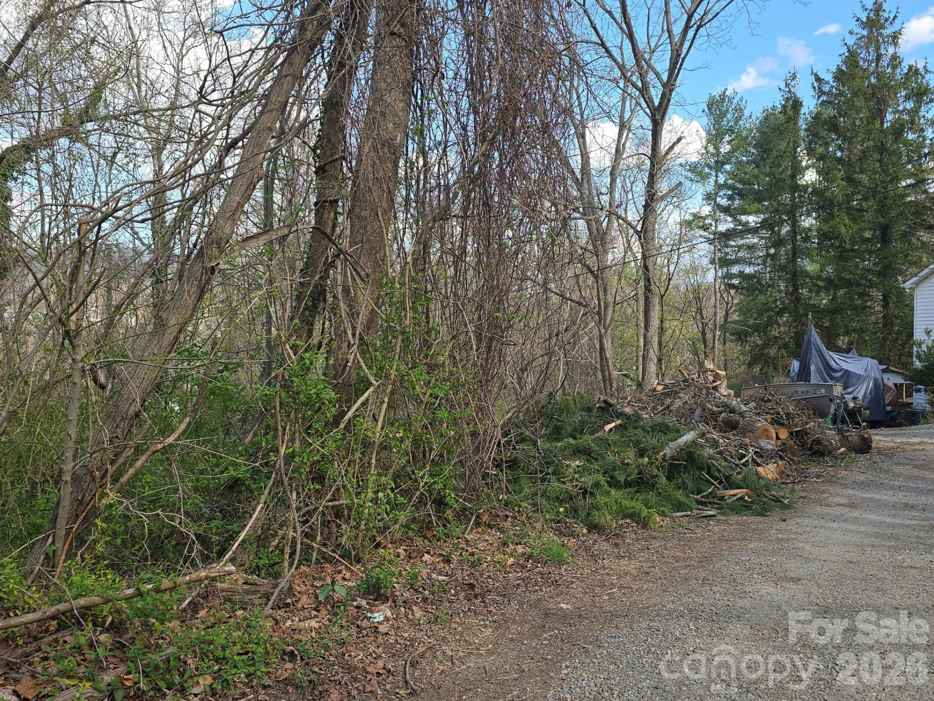 999999 Beaucatcher Road - Photo 3