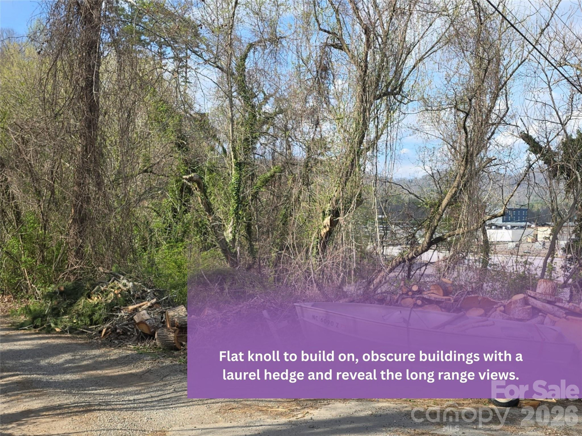 999999 Beaucatcher Road - Photo 4