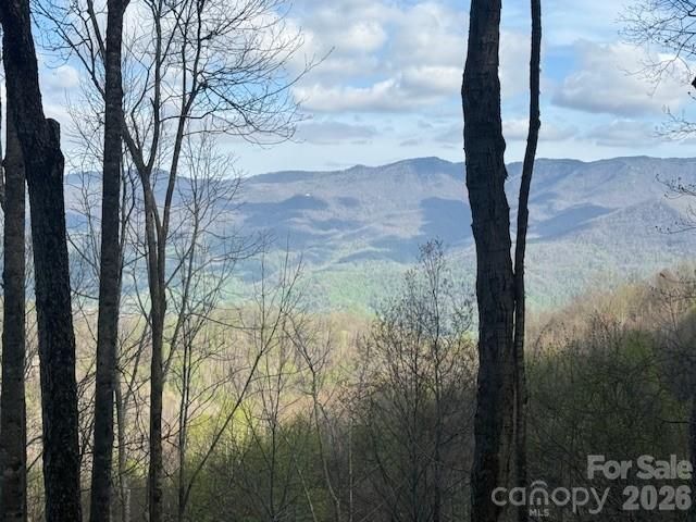 LT 70 Old Growth Way, Sylva, NC, 28779