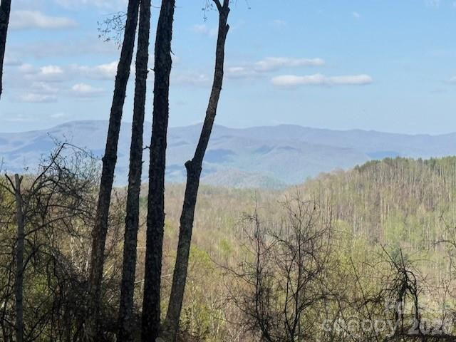 LT 70 Old Growth Way #70 - Photo 2