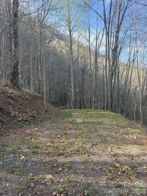 LT 70 Old Growth Way #70 - Photo 3