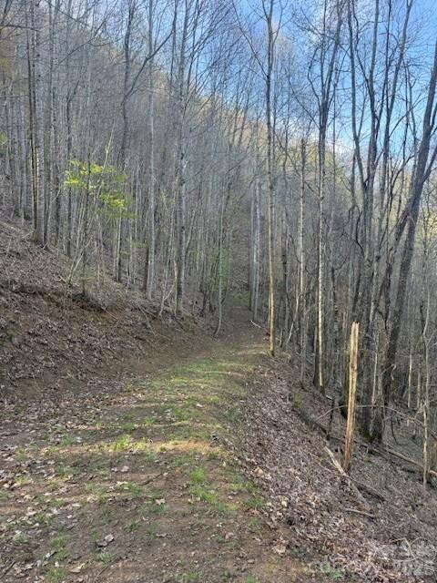 LT 70 Old Growth Way #70 - Photo 4