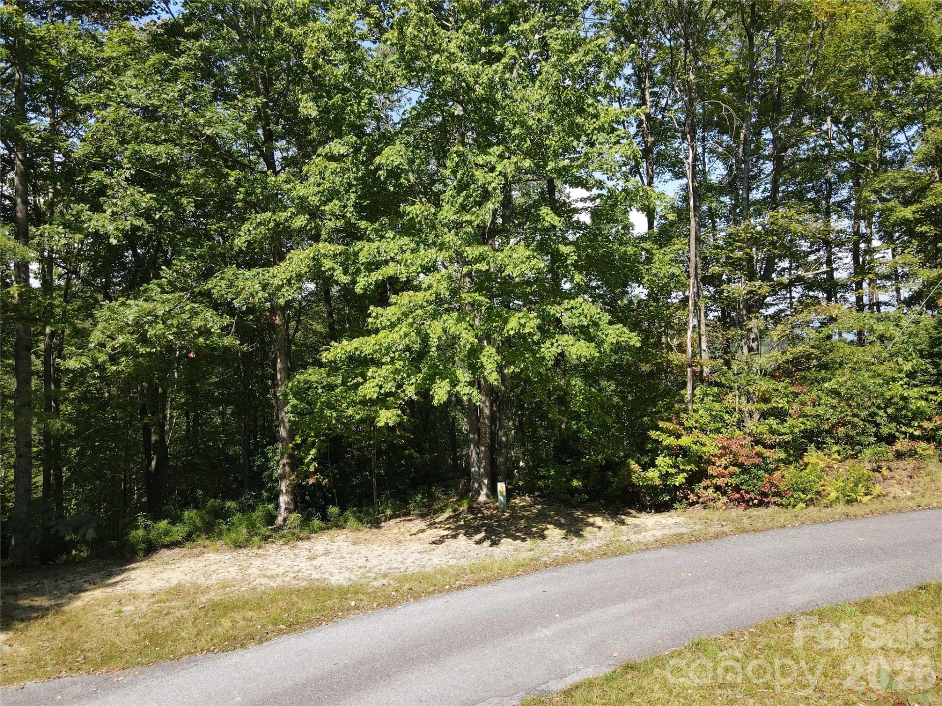 303 Ladd Ridge - Photo 2