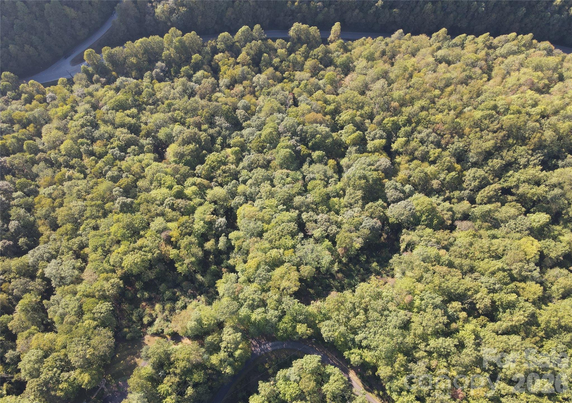 283 Ladd Ridge - Photo 11