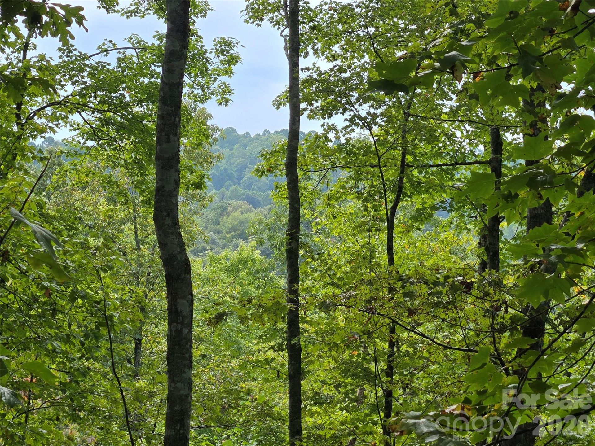 283 Ladd Ridge - Photo 12