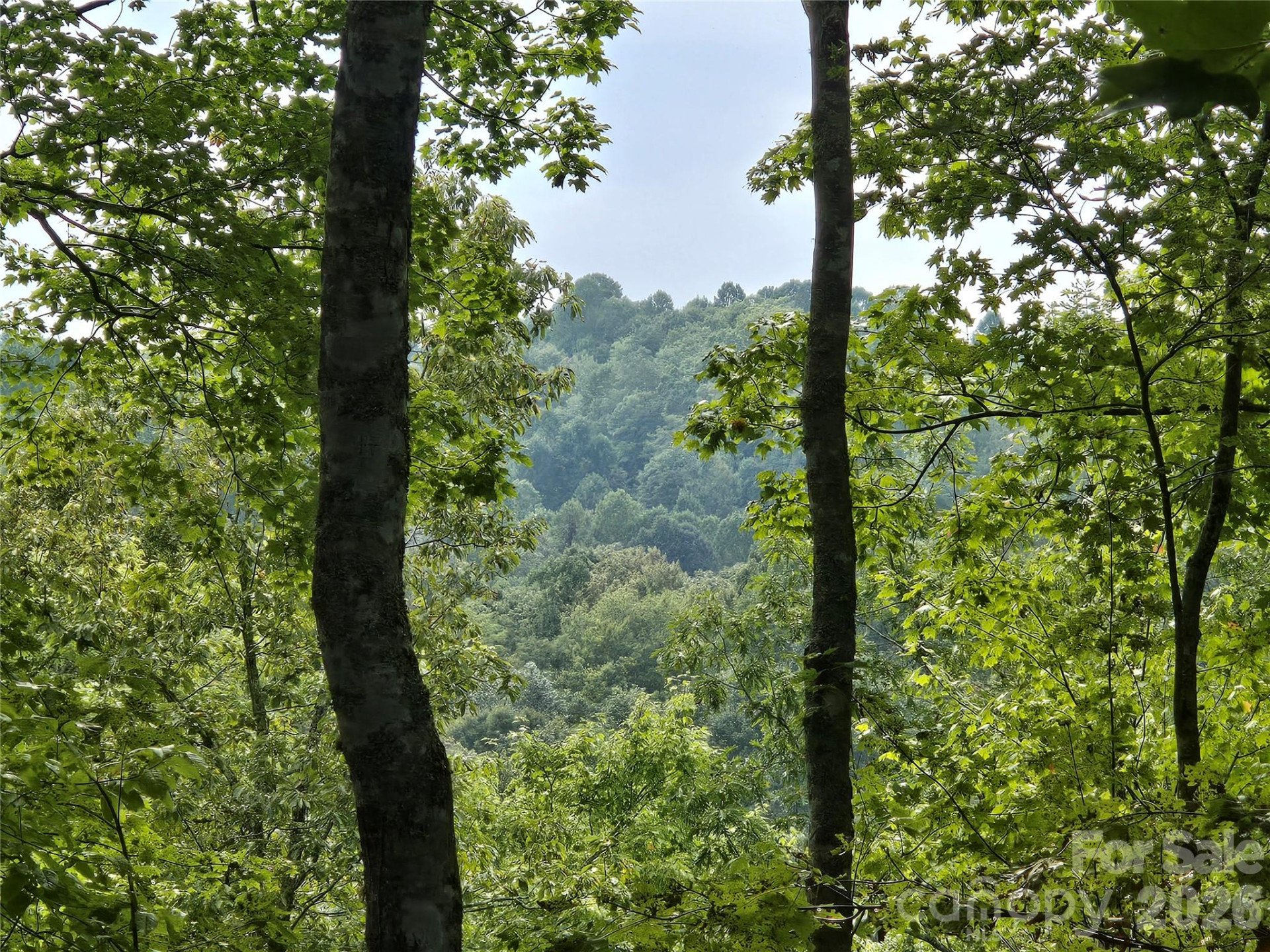 283 Ladd Ridge - Photo 13