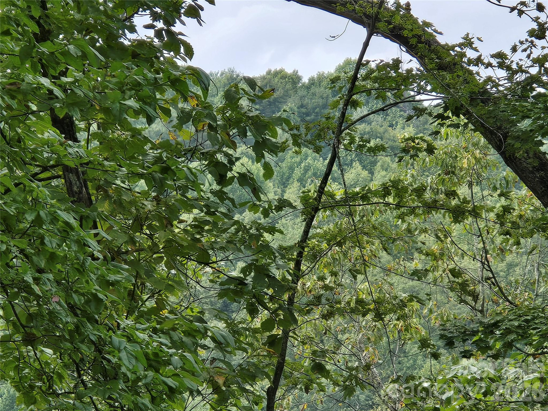 283 Ladd Ridge - Photo 14