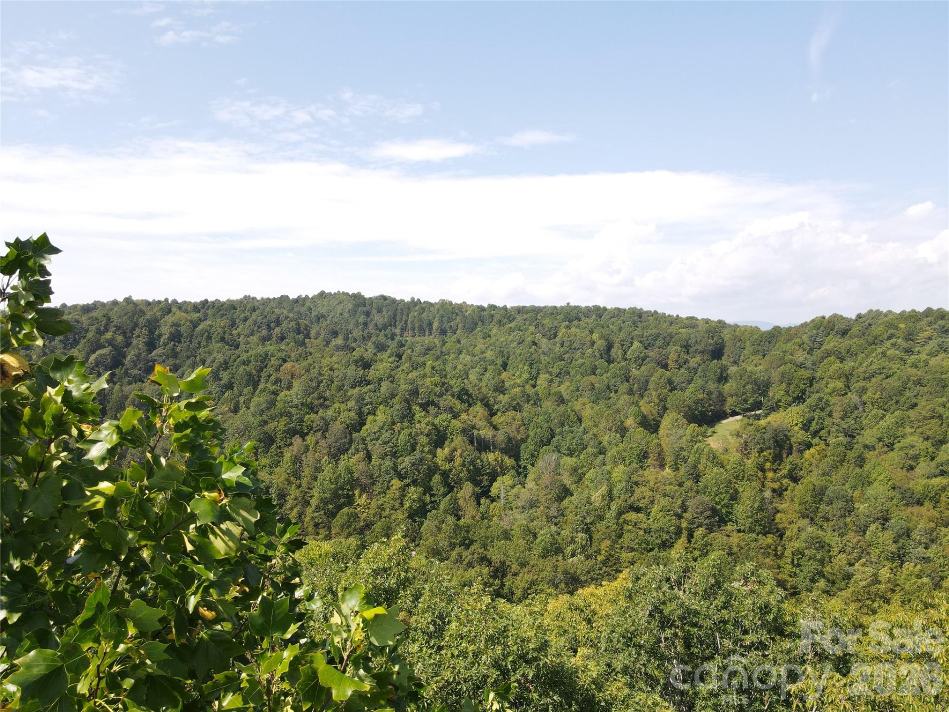 283 Ladd Ridge - Photo 15