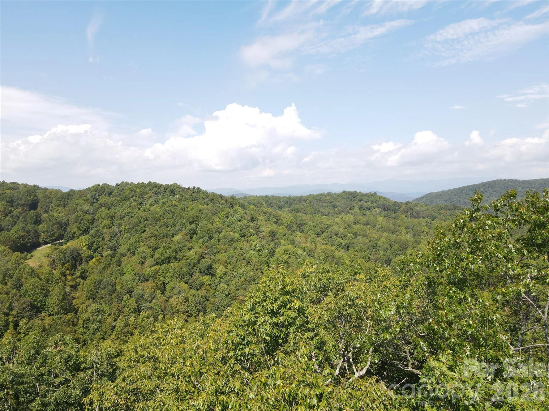 303 Ladd Ridge - Photo 17