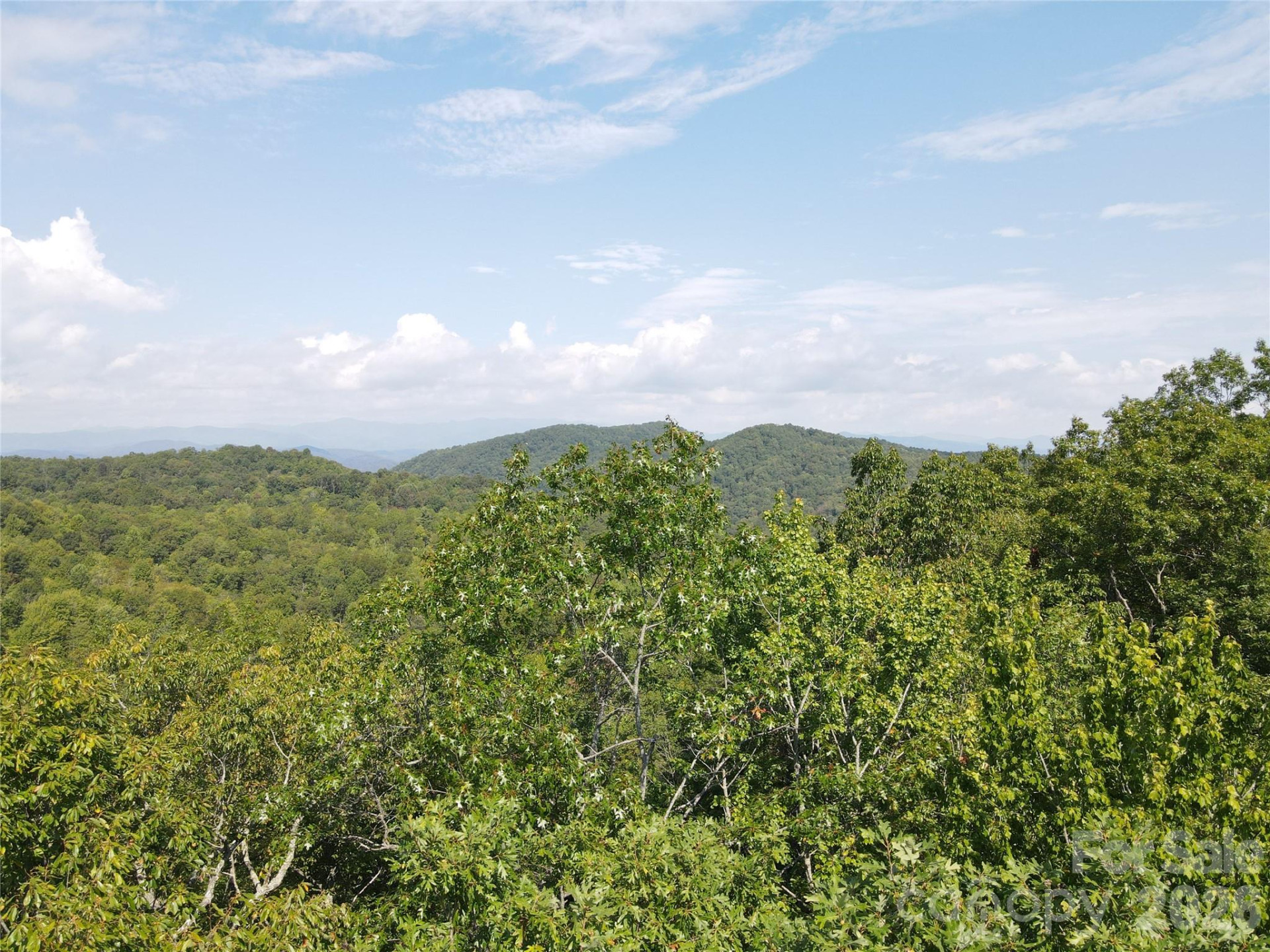 283 Ladd Ridge - Photo 18