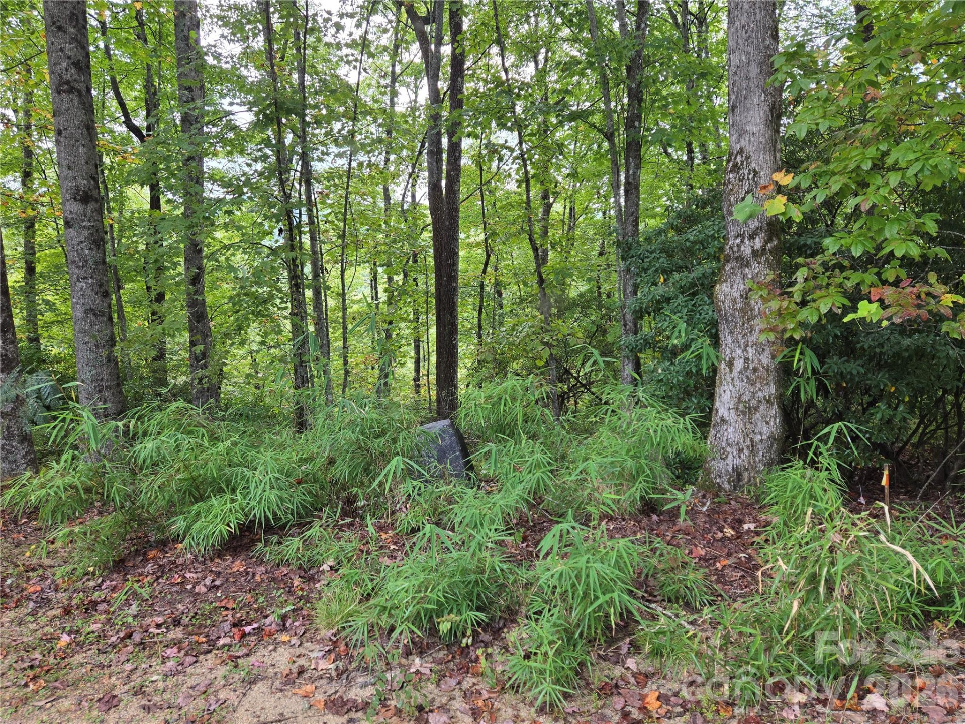 283 Ladd Ridge - Photo 19