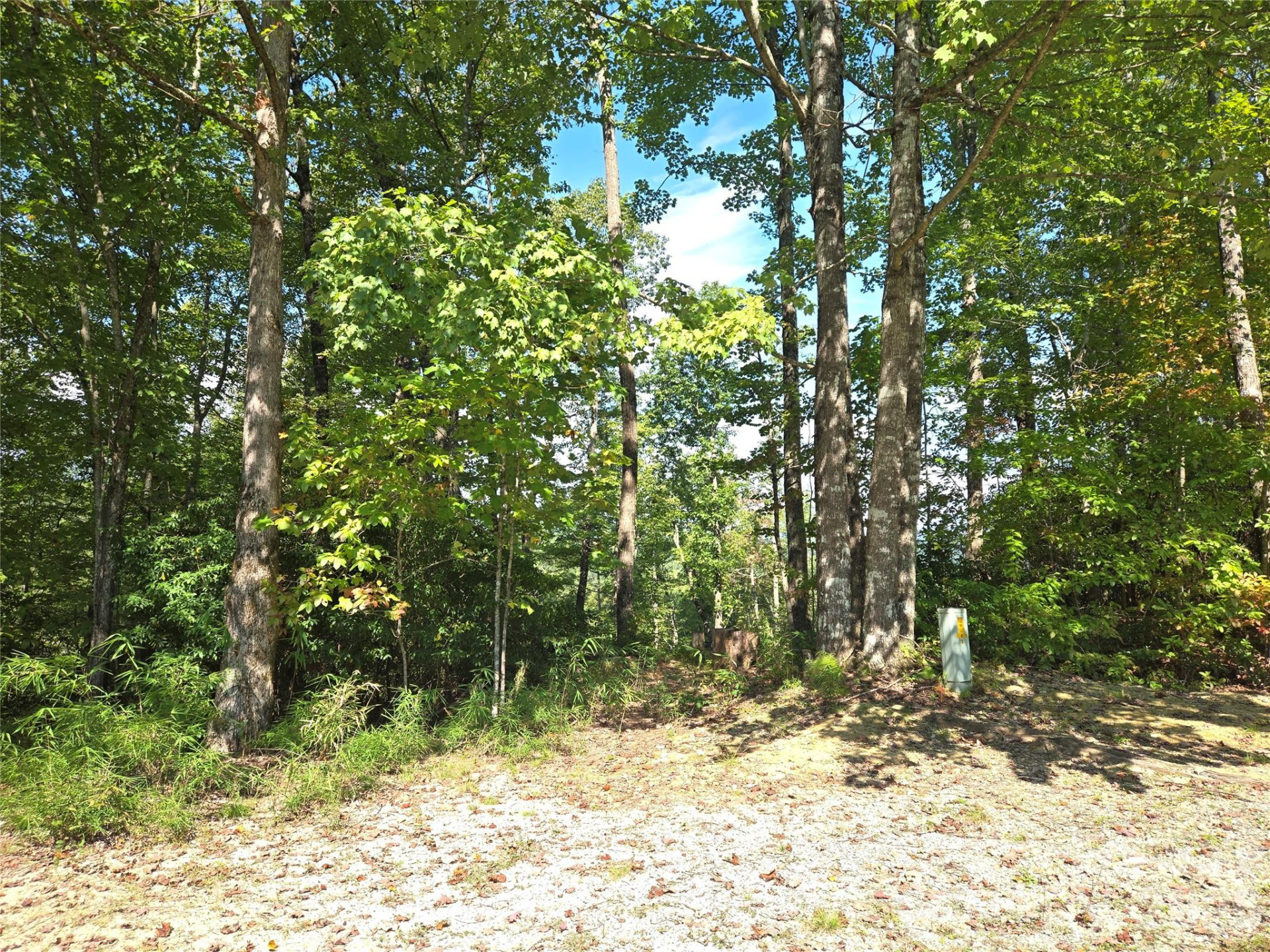 283 Ladd Ridge - Photo 3