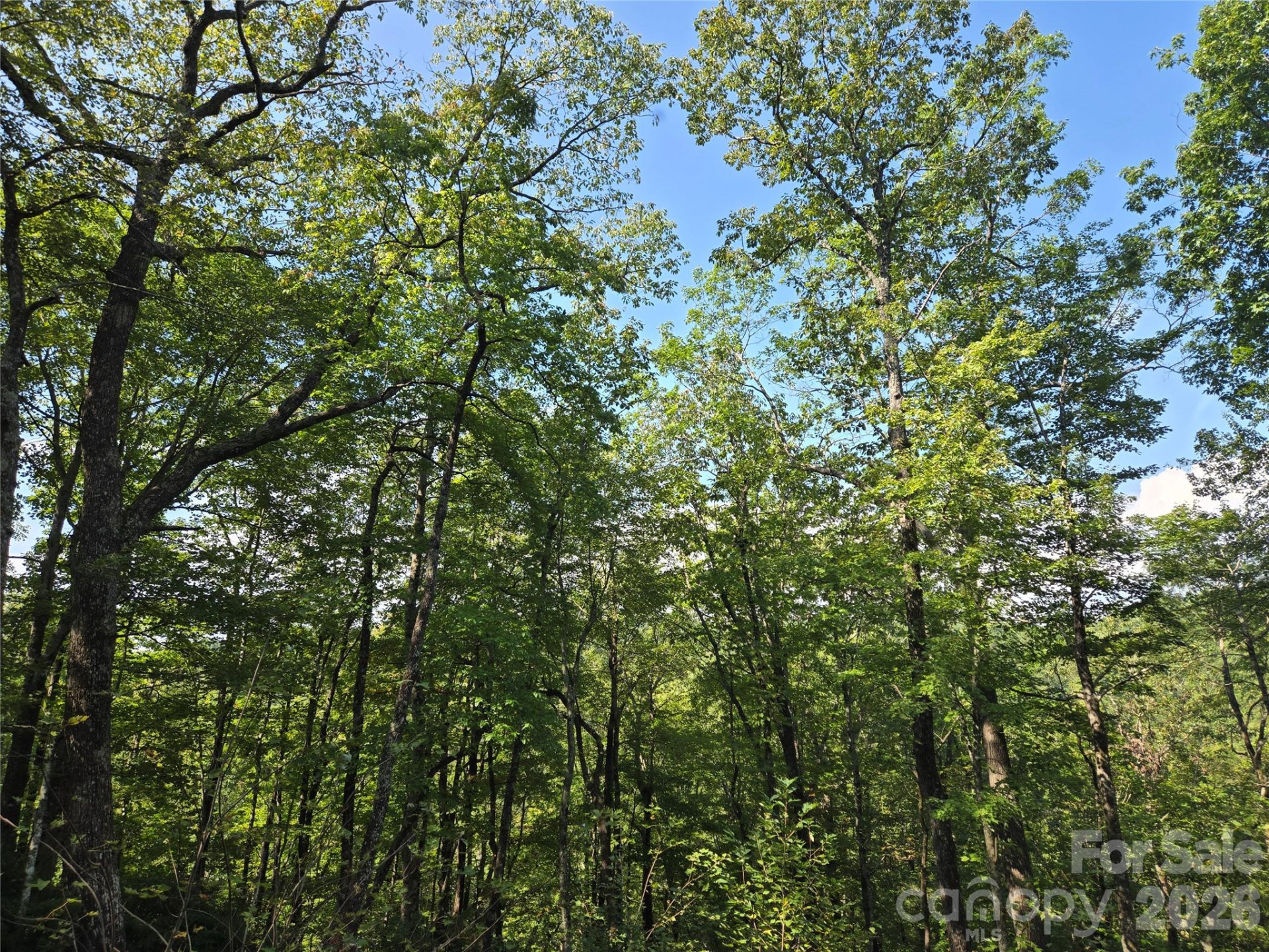 283 Ladd Ridge - Photo 21