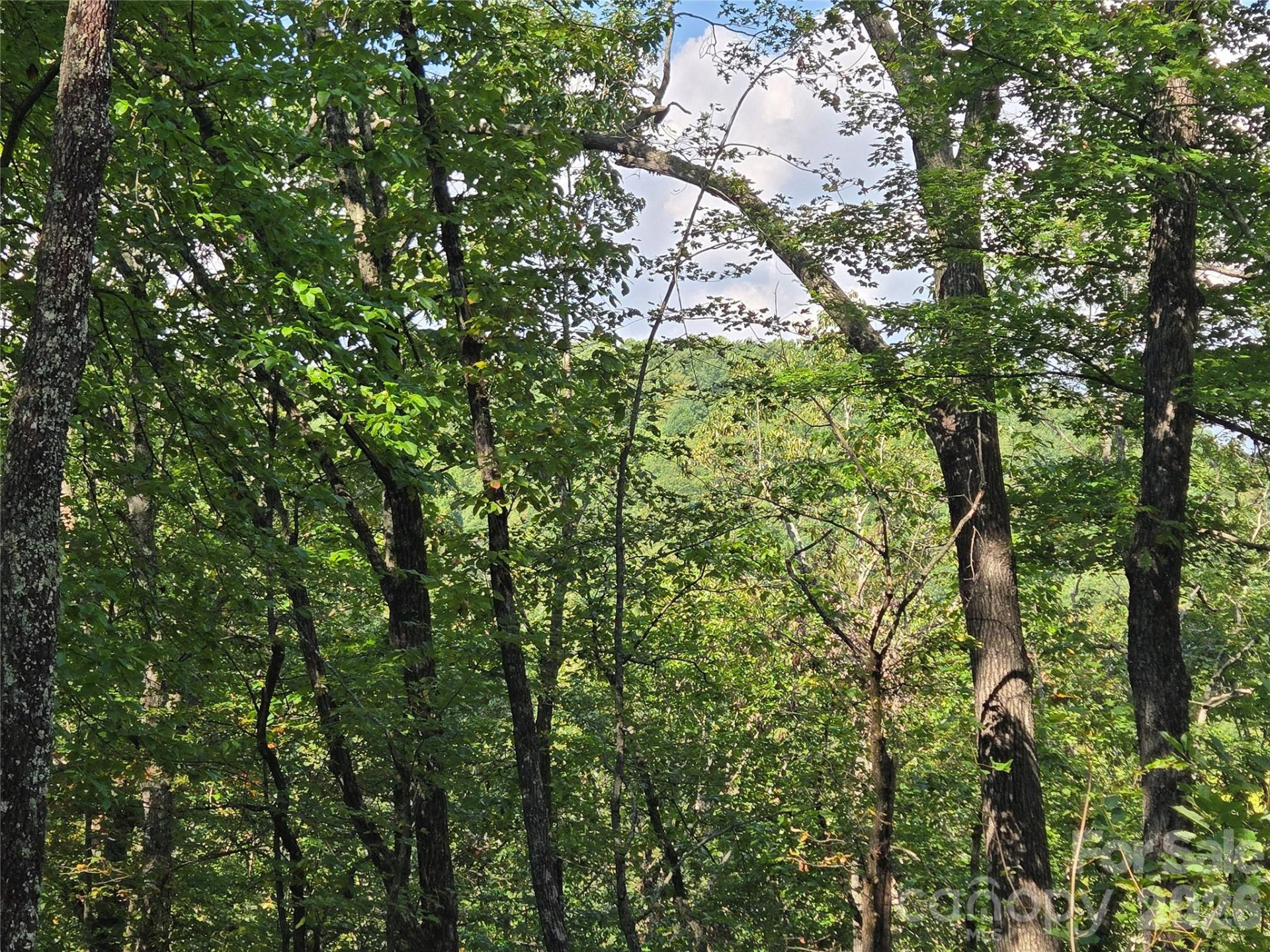 283 Ladd Ridge - Photo 22