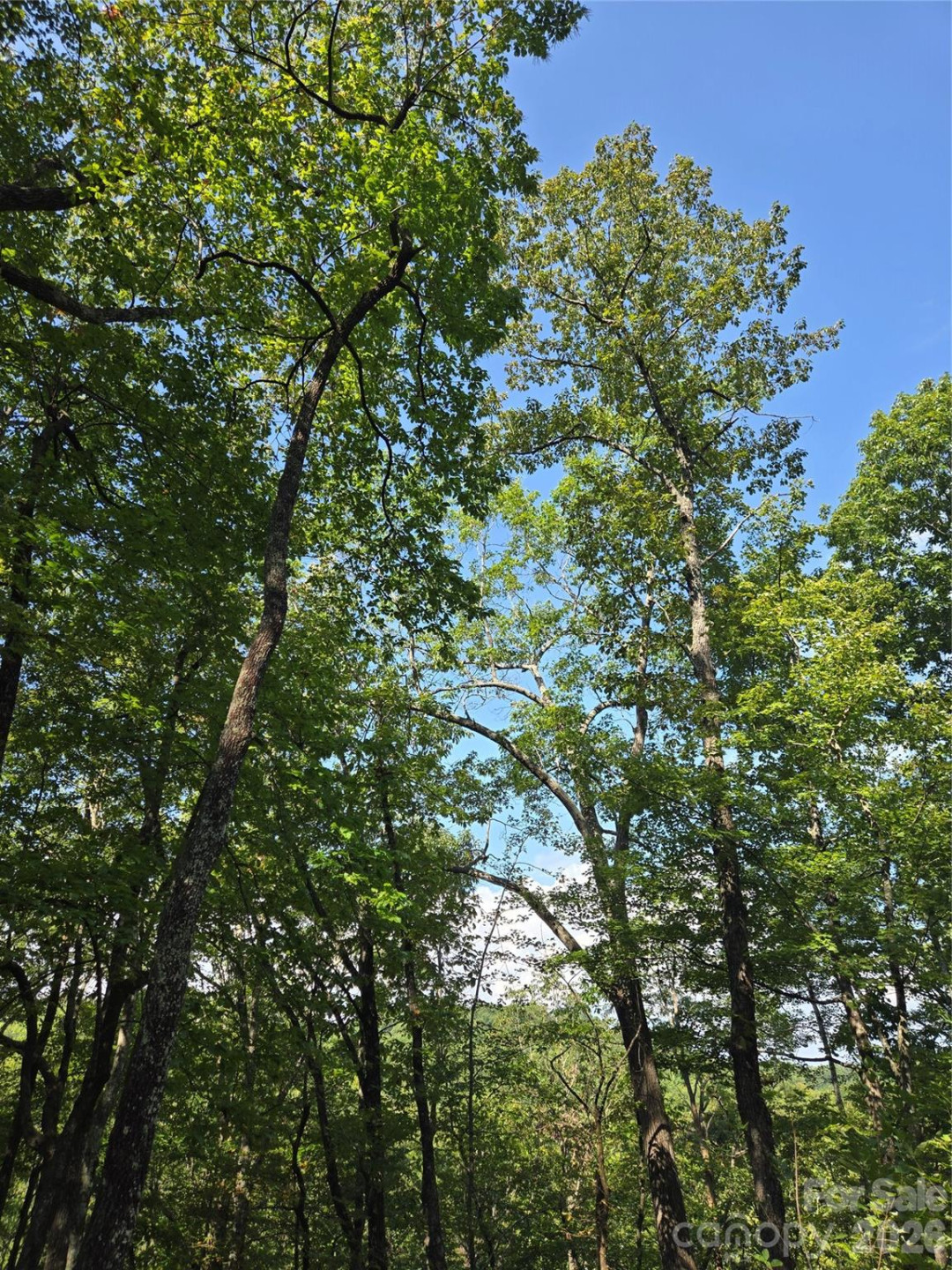 283 Ladd Ridge - Photo 24