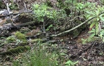 283 Ladd Ridge - Photo 30