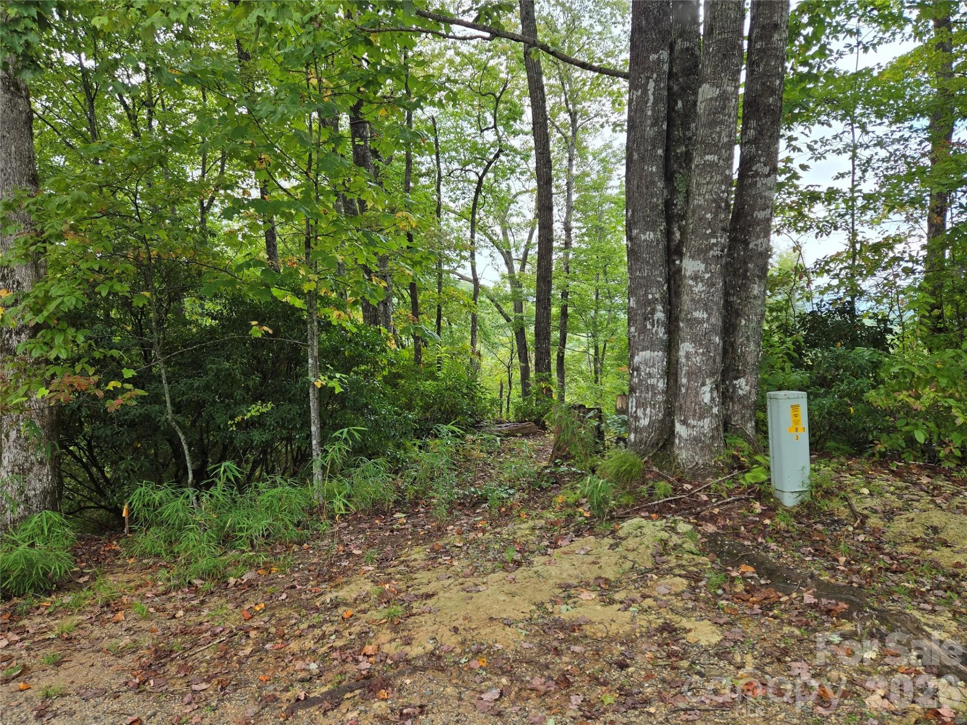 303 Ladd Ridge - Photo 4