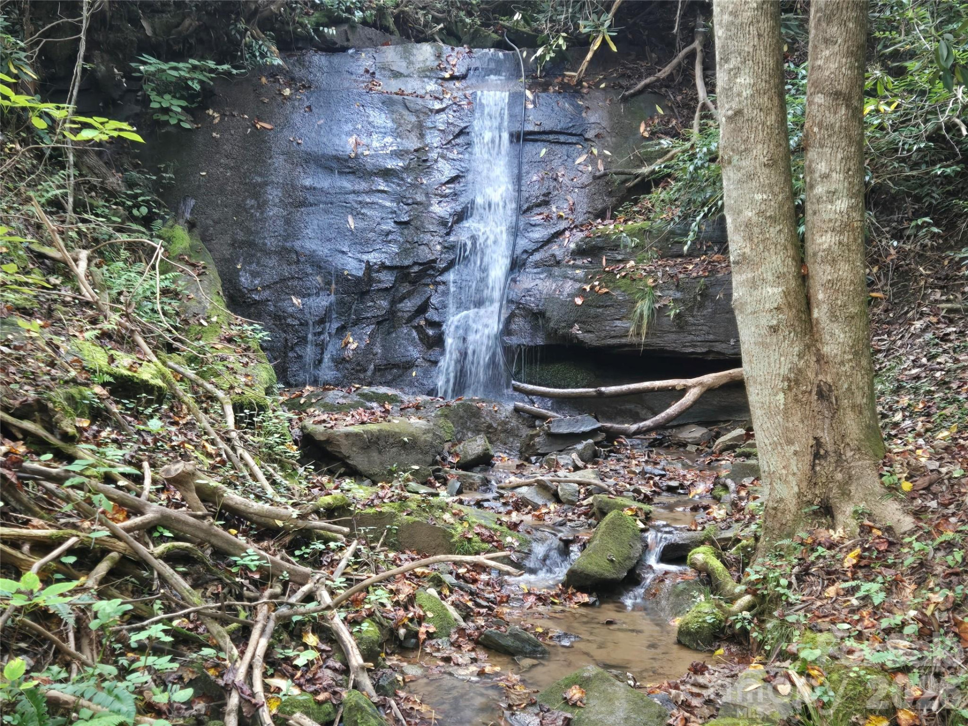 283 Ladd Ridge - Photo 31