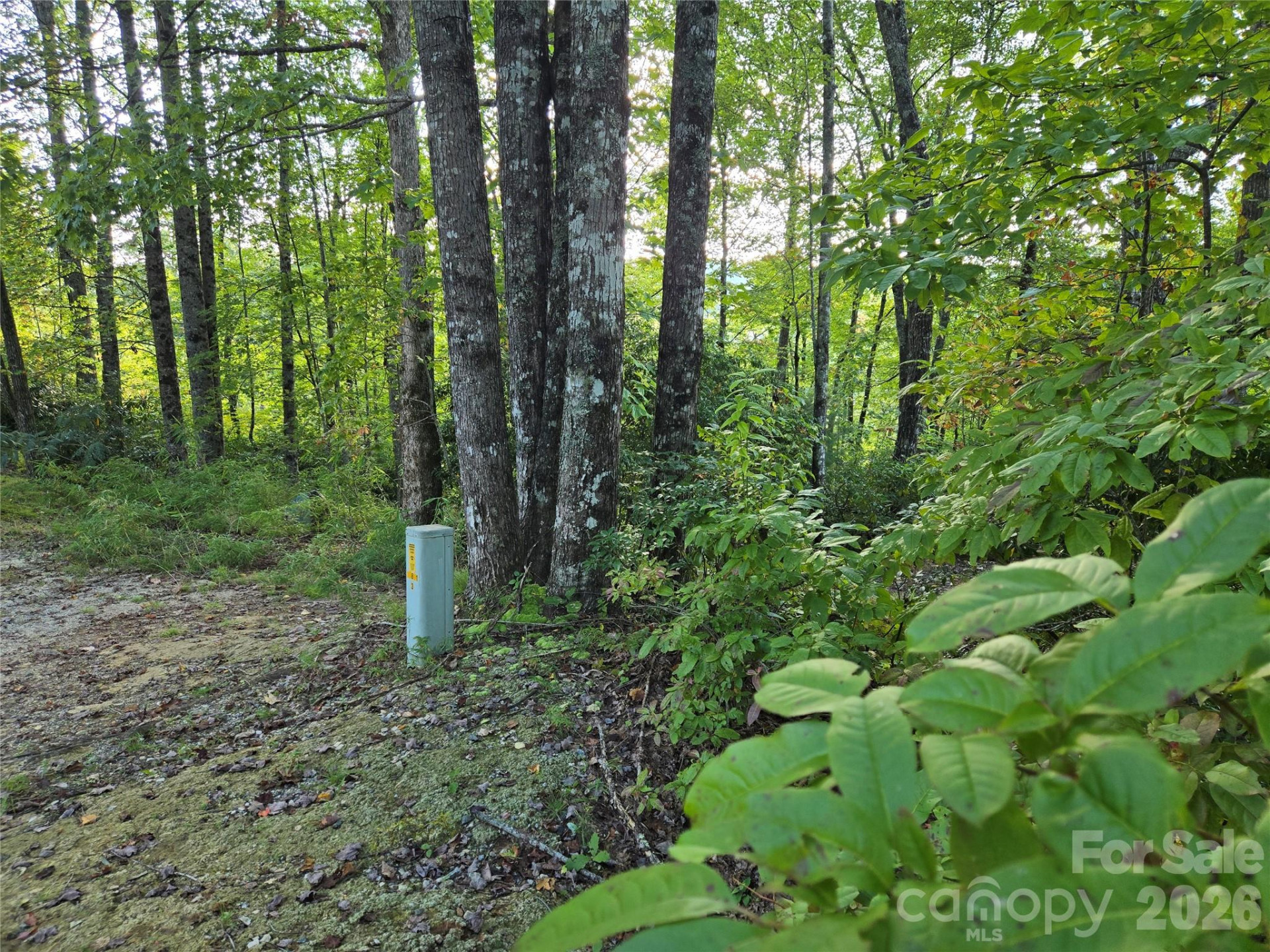 283 Ladd Ridge - Photo 5
