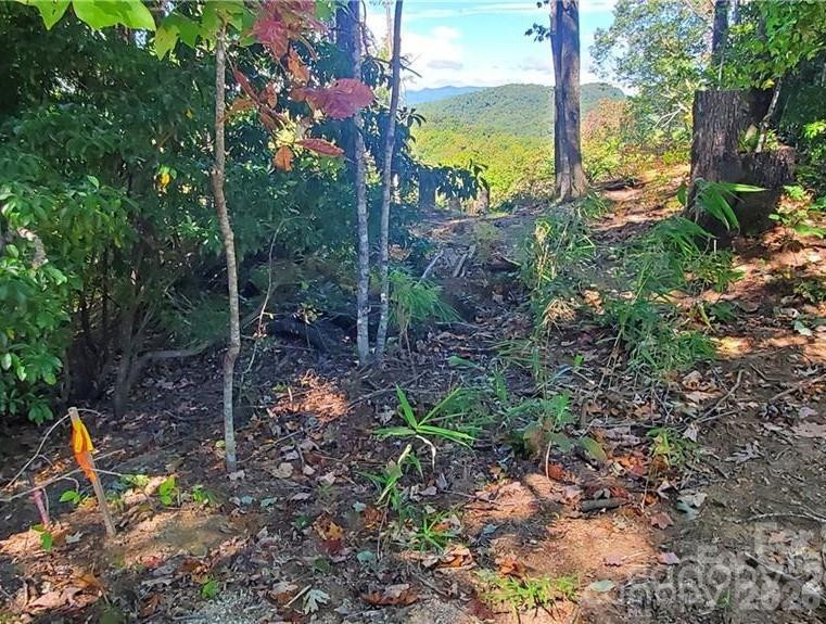 283 Ladd Ridge - Photo 6