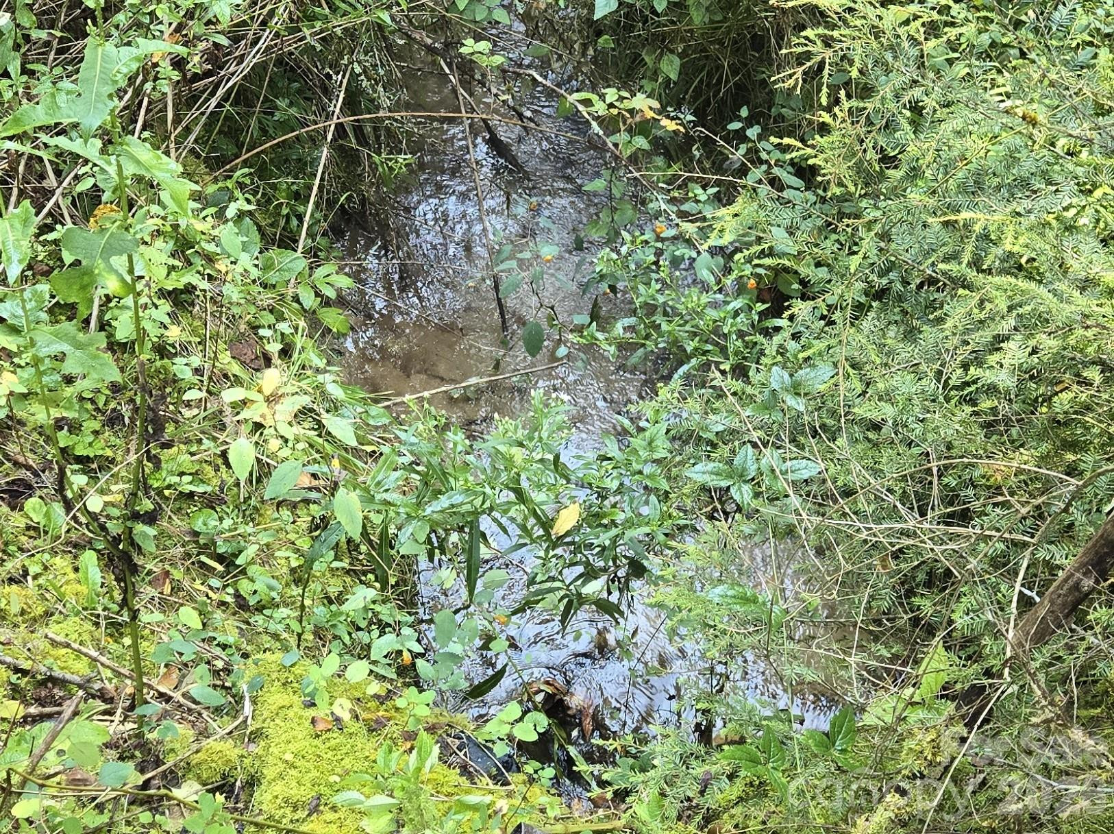 283 Ladd Ridge - Photo 8