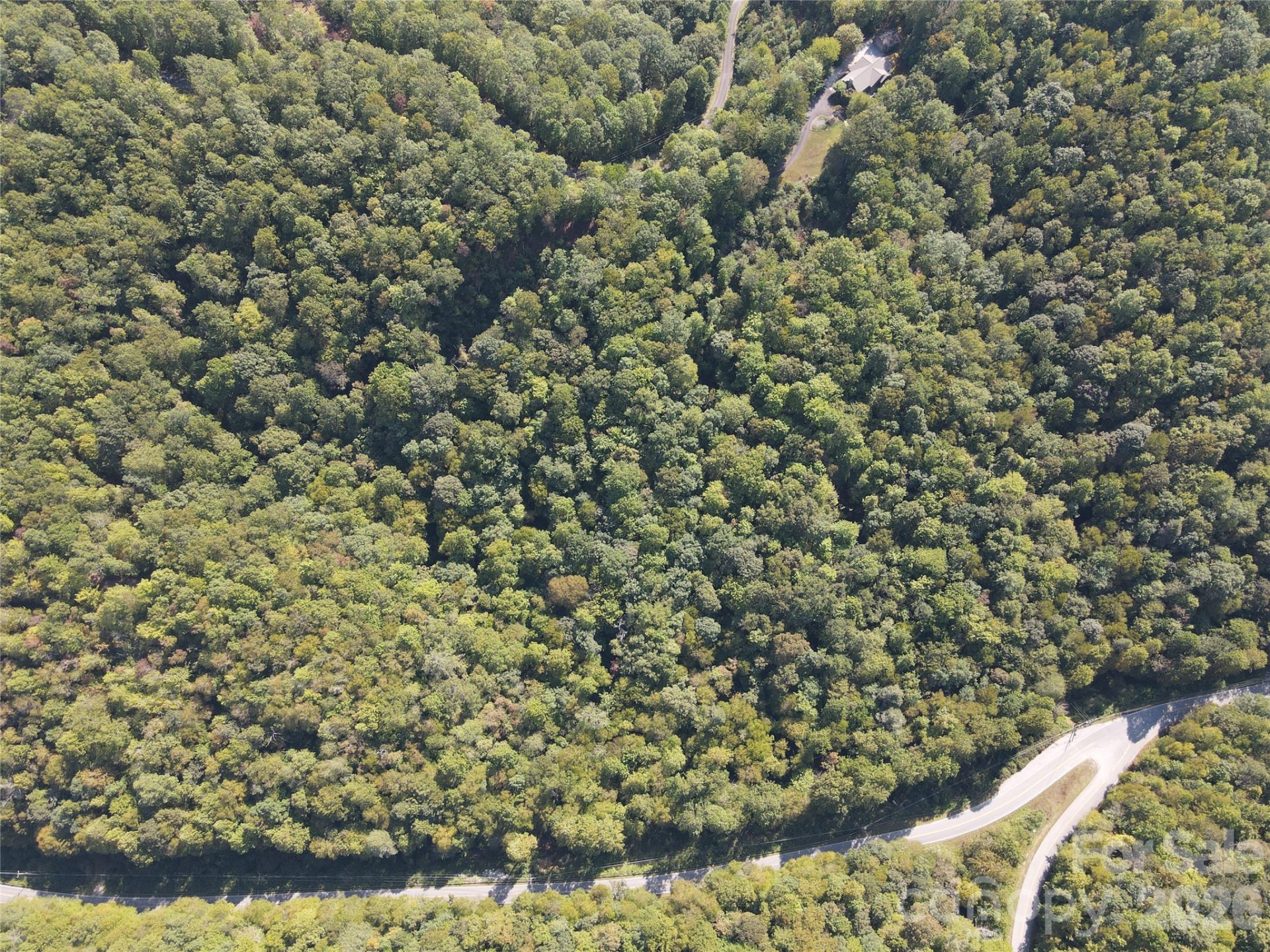 283 Ladd Ridge - Photo 9