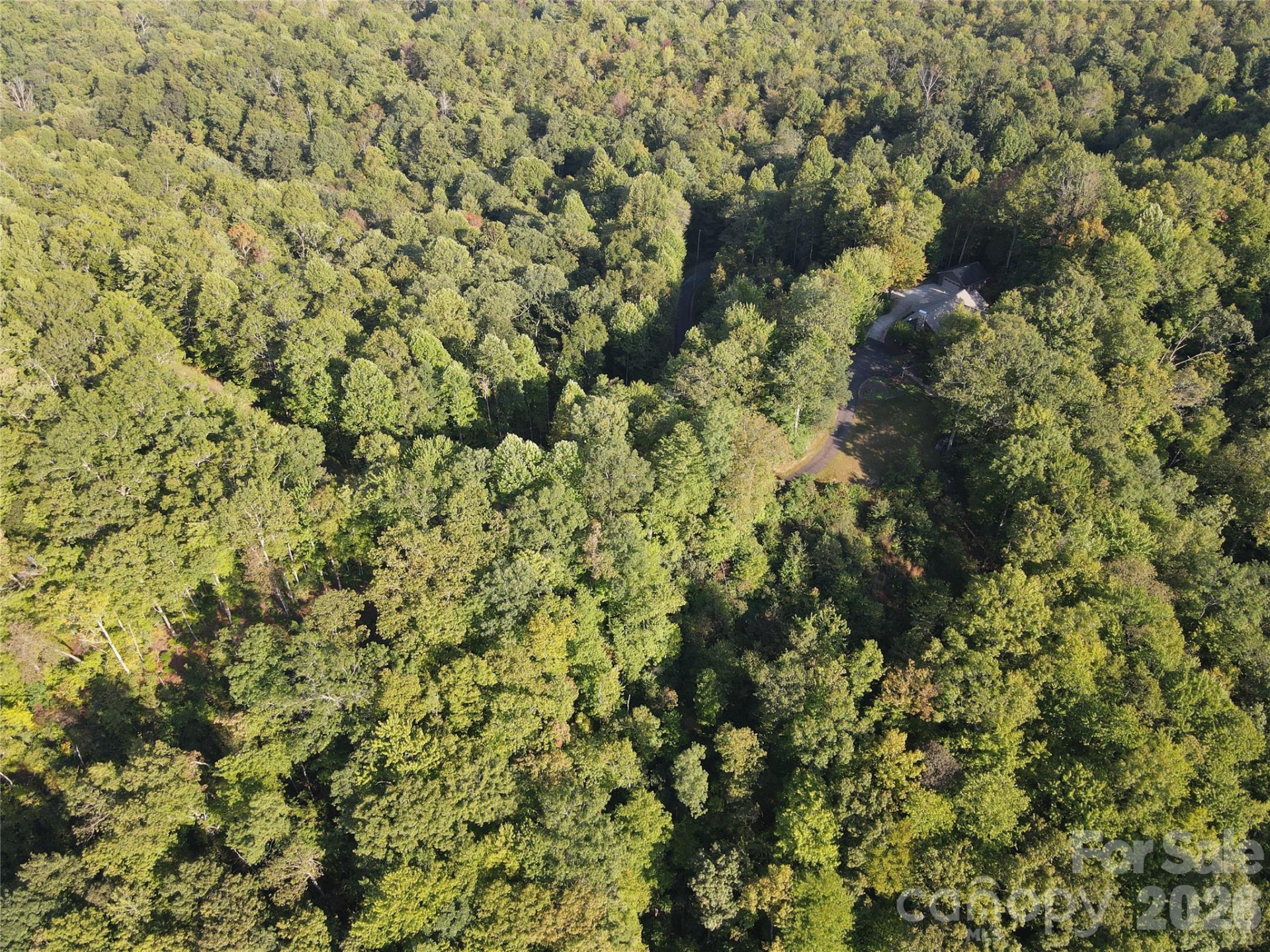 283 Ladd Ridge - Photo 10