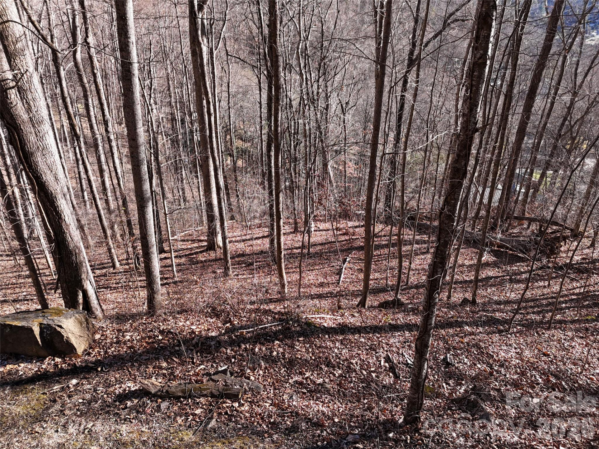 0000 Greenview Drive - Photo 11