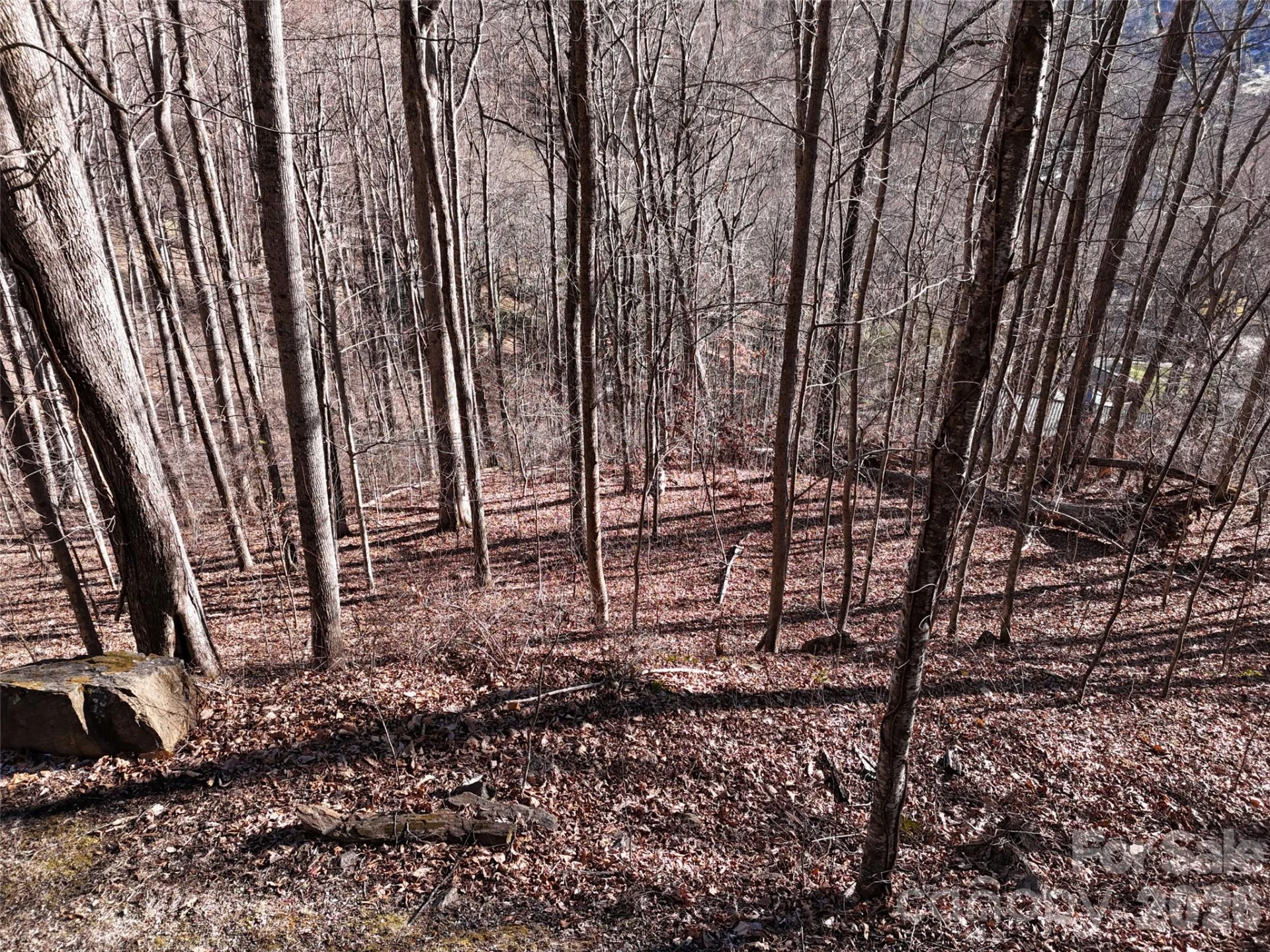 0000 Greenview Drive - Photo 11