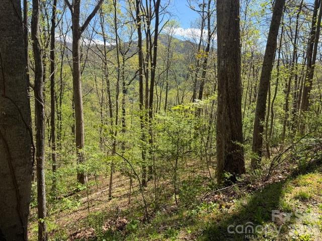 0000 Greenview Drive - Photo 13