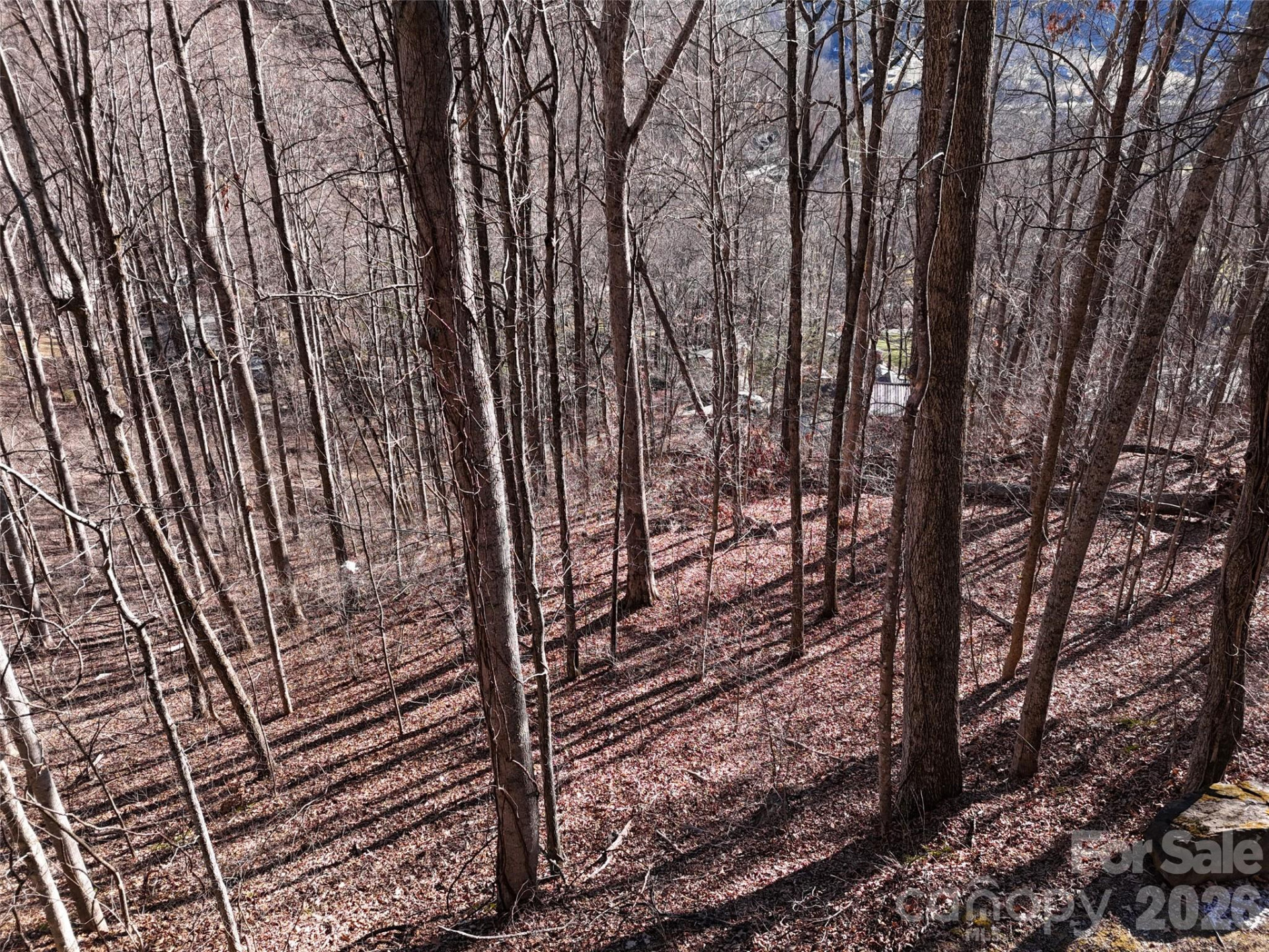 0000 Greenview Drive - Photo 14