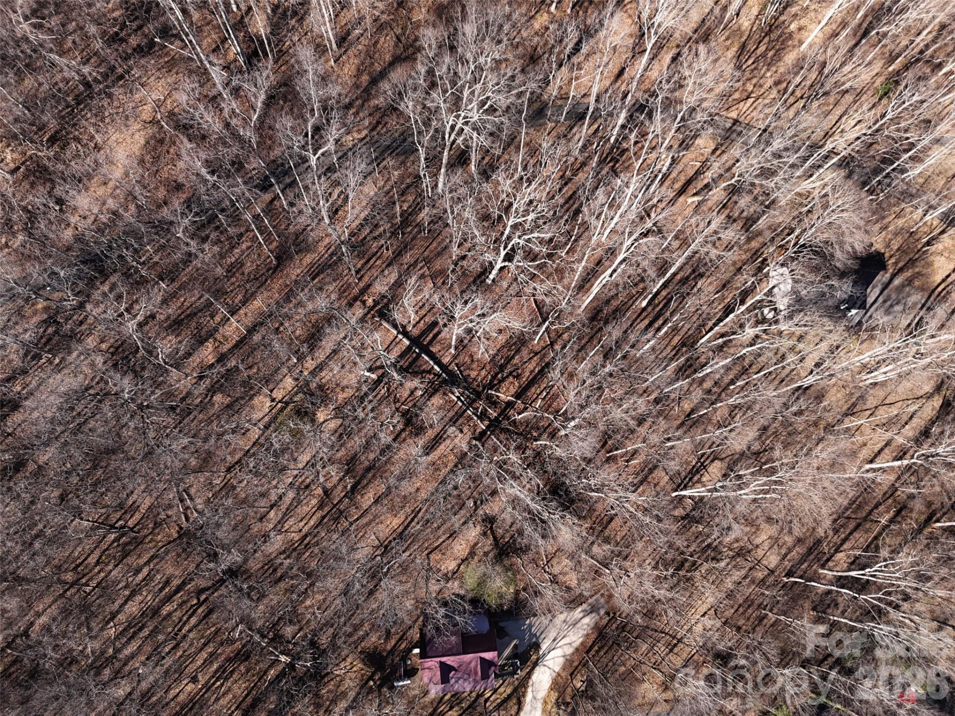 0000 Greenview Drive - Photo 16