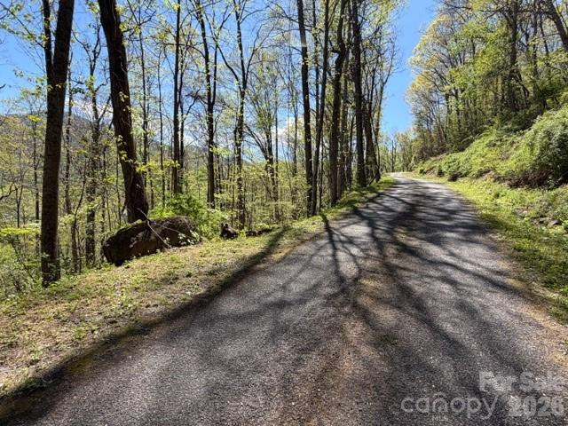 0000 Greenview Drive - Photo 4