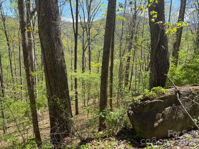 0000 Greenview Drive - Photo 5