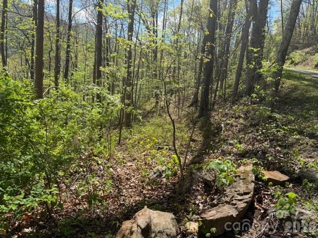 0000 Greenview Drive - Photo 6