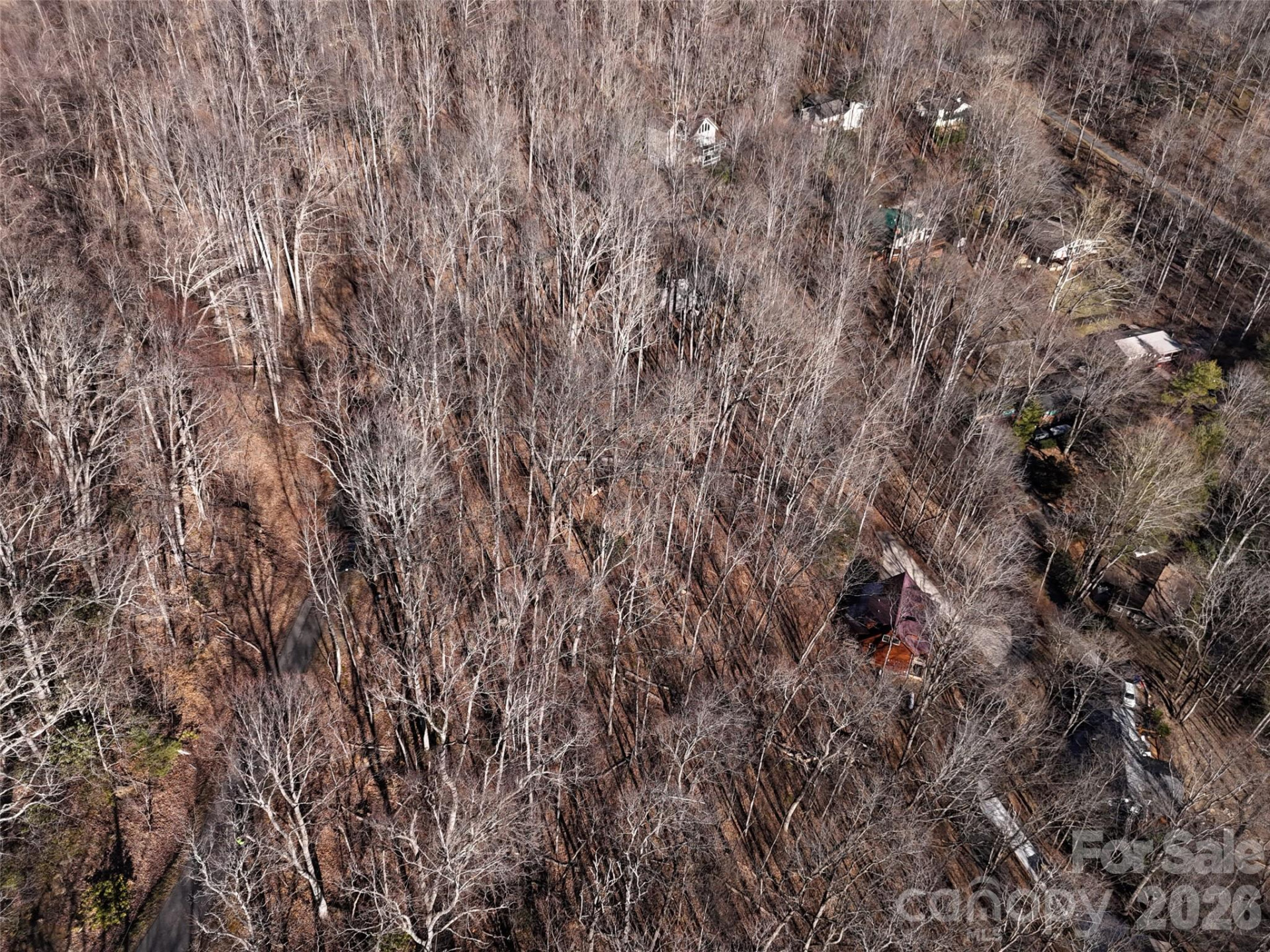 0000 Greenview Drive - Photo 7