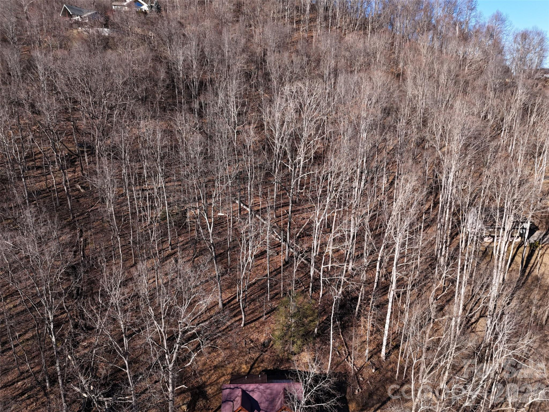 0000 Greenview Drive - Photo 8