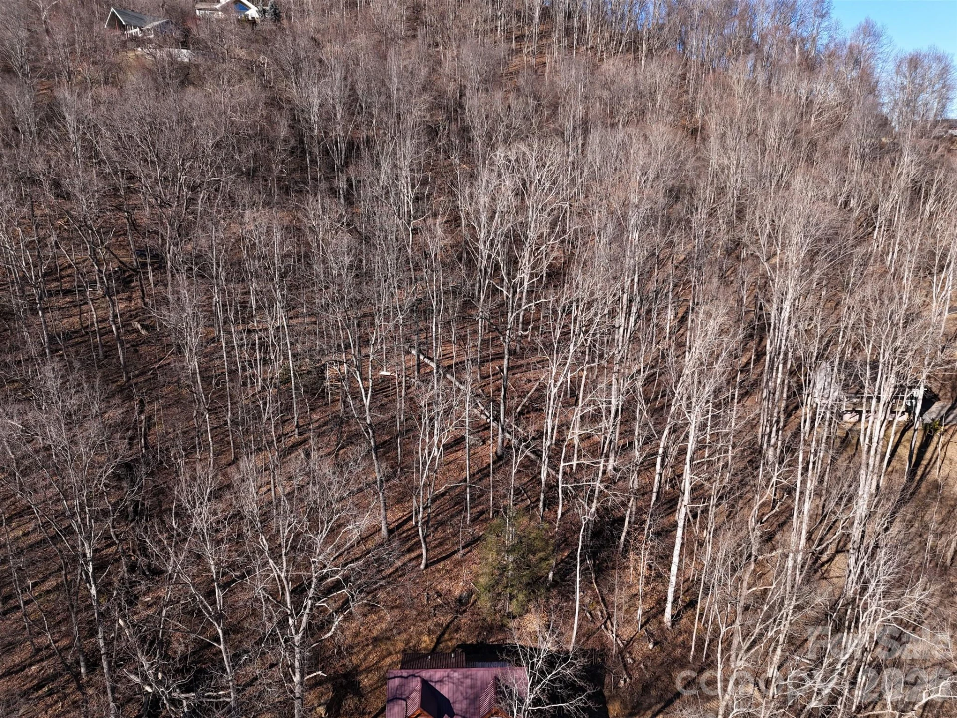 0000 Greenview Drive - Photo 8