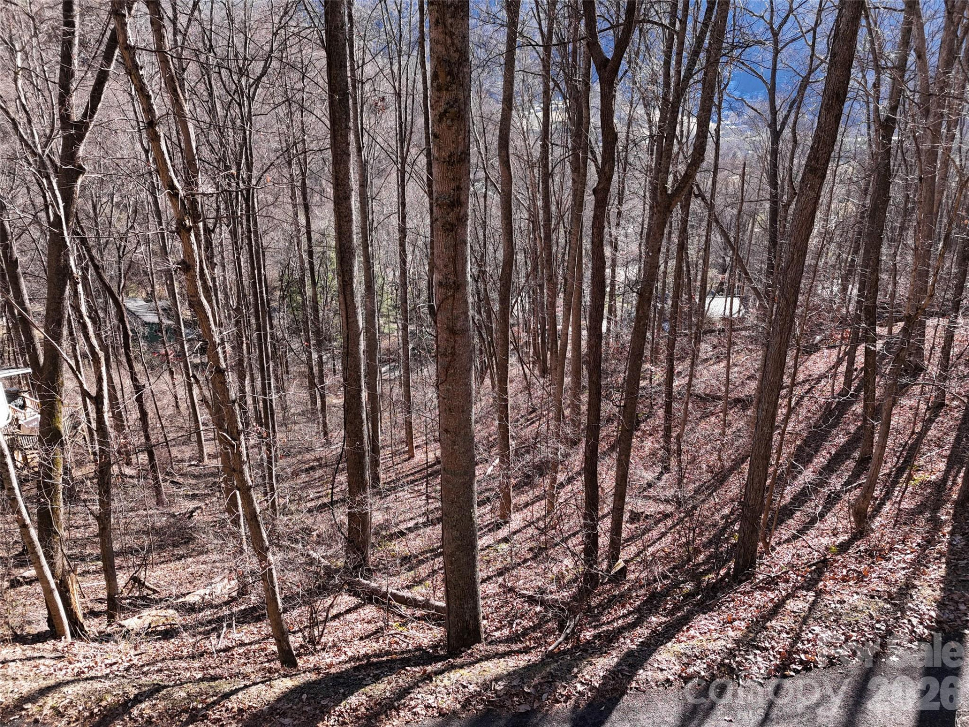 0000 Greenview Drive - Photo 9